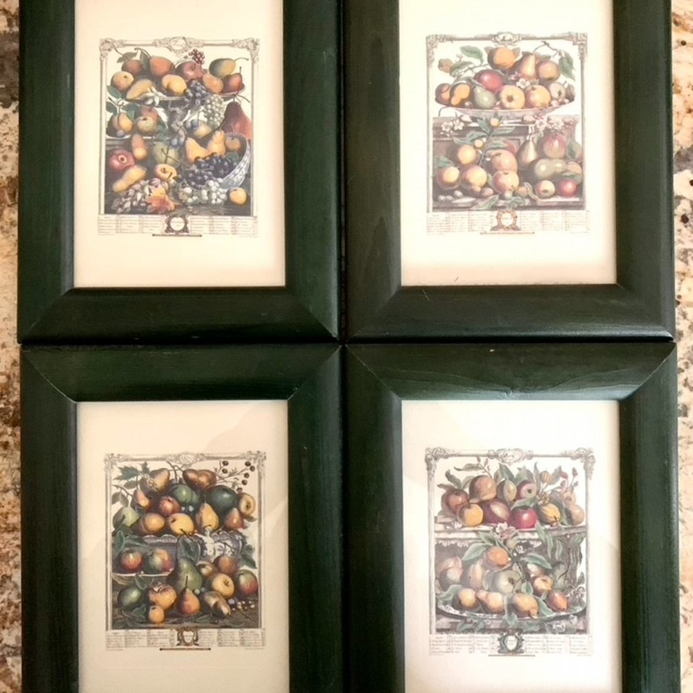Set of 4 Vintage Arthur Kaplan Flower Prints Framed - Like New